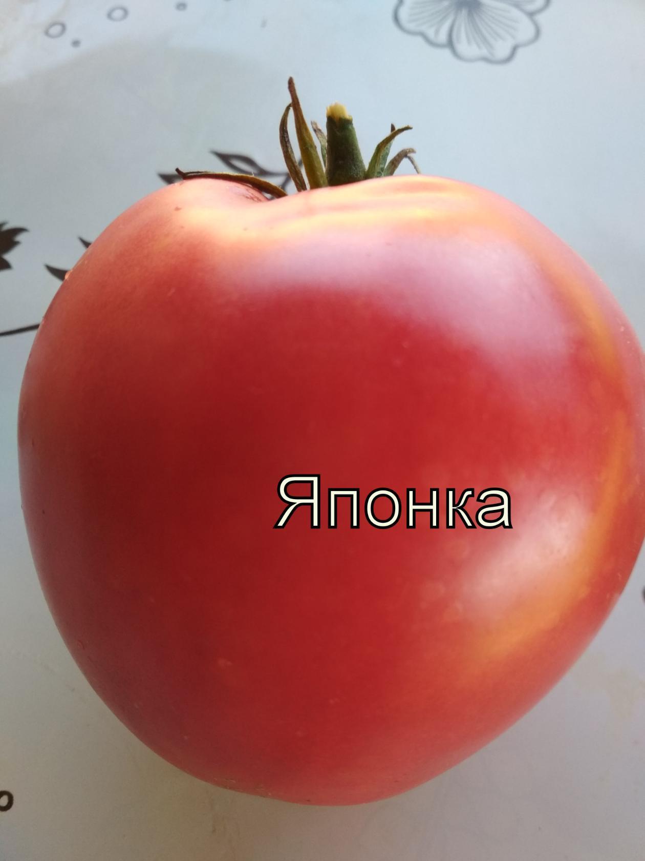 Японские сорта томатов