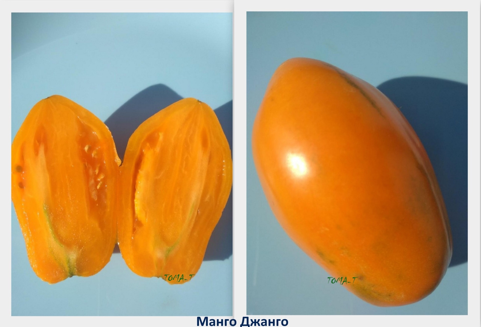 Томат манго джанго описание сорта фото